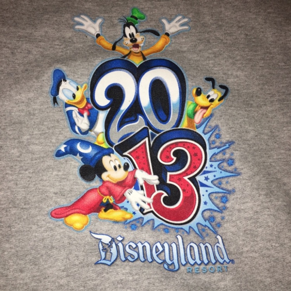 Disneyland sweater